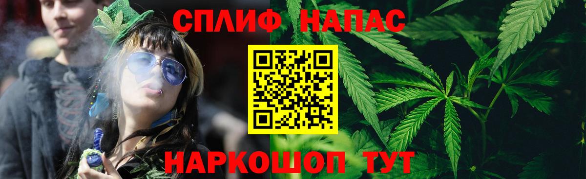 Бошки Шишки гибрид Сочи